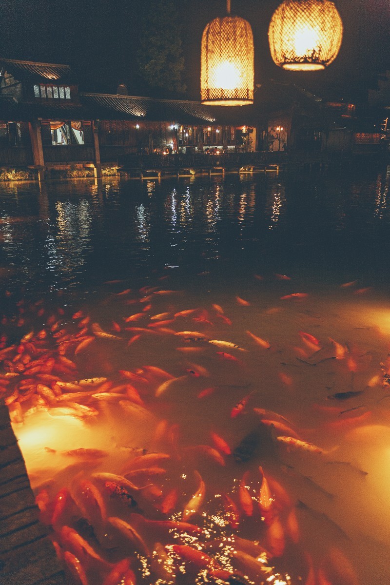 乌镇-（纪念使用过的佳能28-70  2.8L）