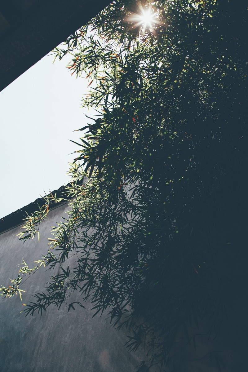 乌镇-（纪念使用过的佳能28-70  2.8L）