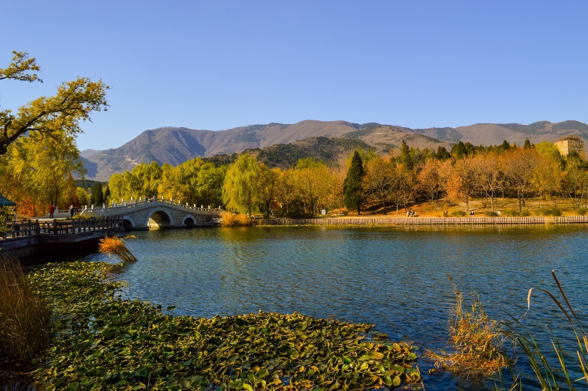 北京植物园游拍-137