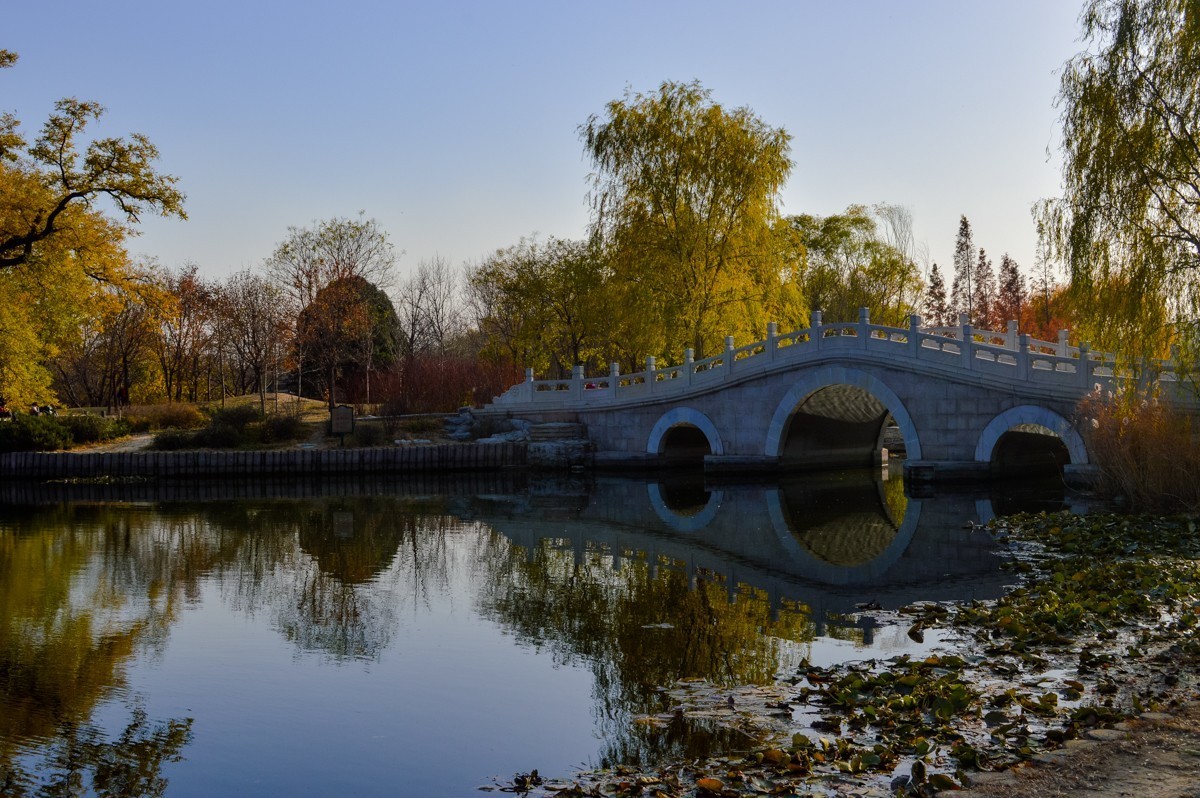 北京植物园游拍-137