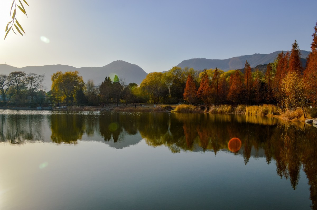 北京植物园游拍-137