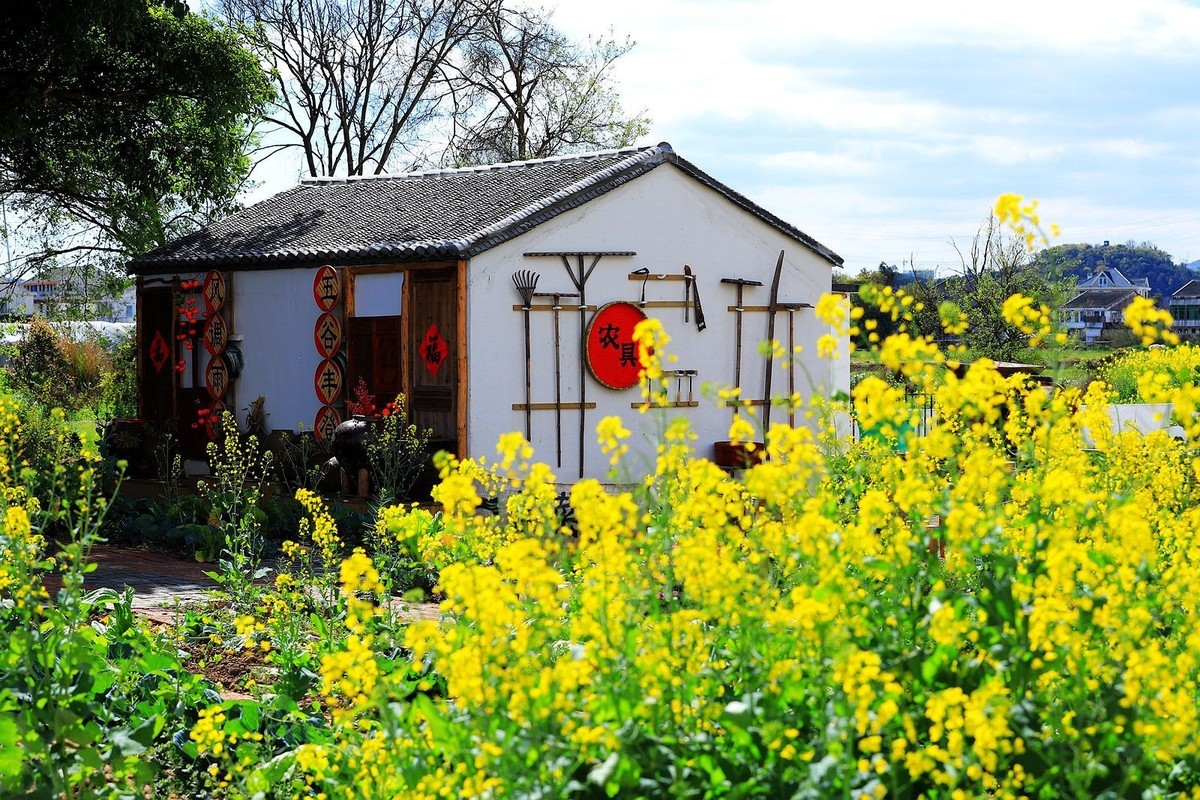 温州七都岛樟里村(5)