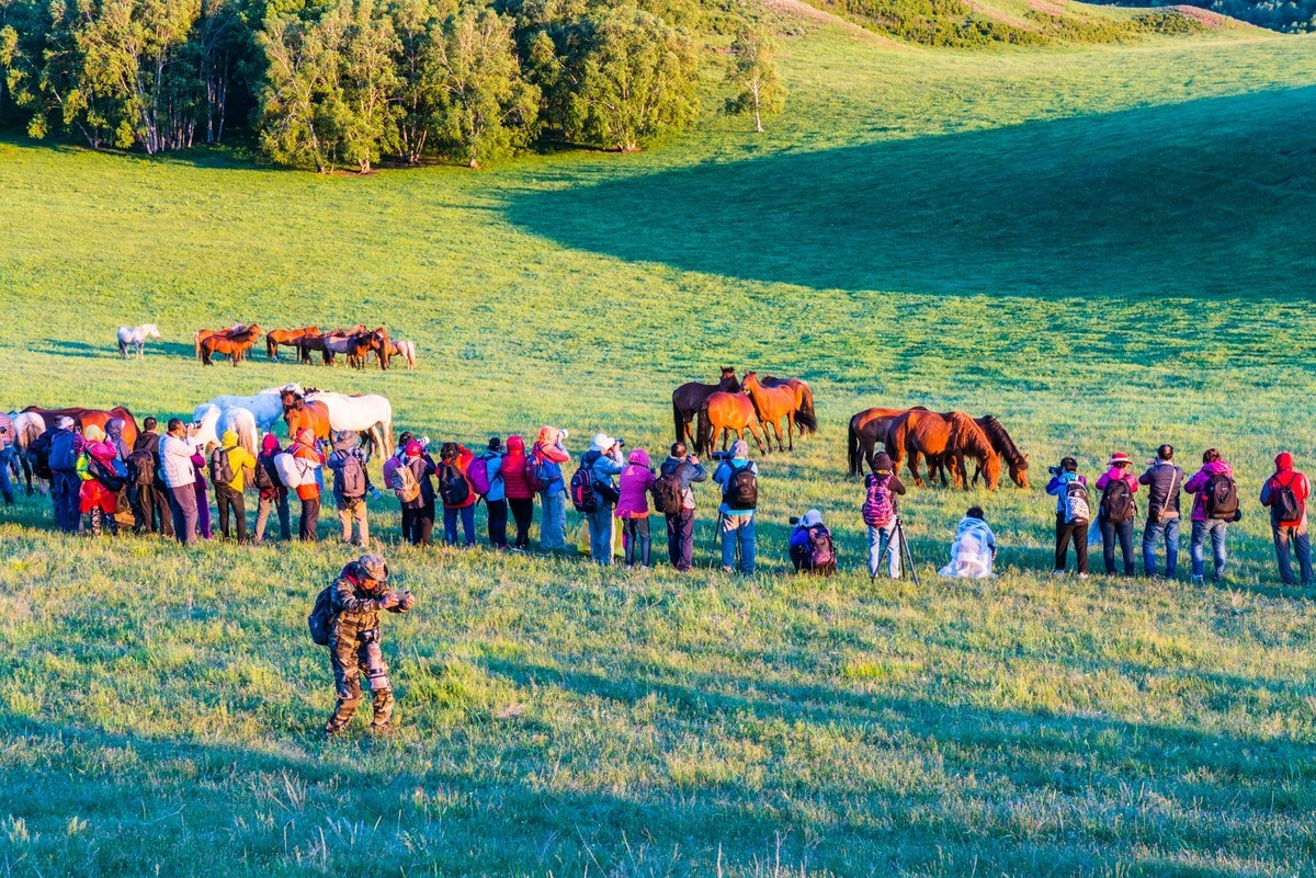 21.6 夏日的草原（二十三）------拍摄马群的人们