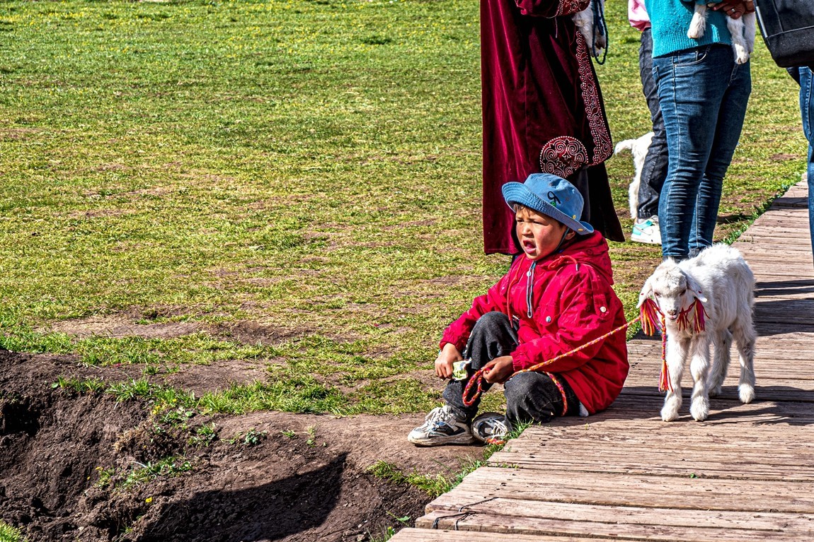 新疆行游--喀拉峻草原【2】    贺山水勇哥荣任合肥星空(中国)版主