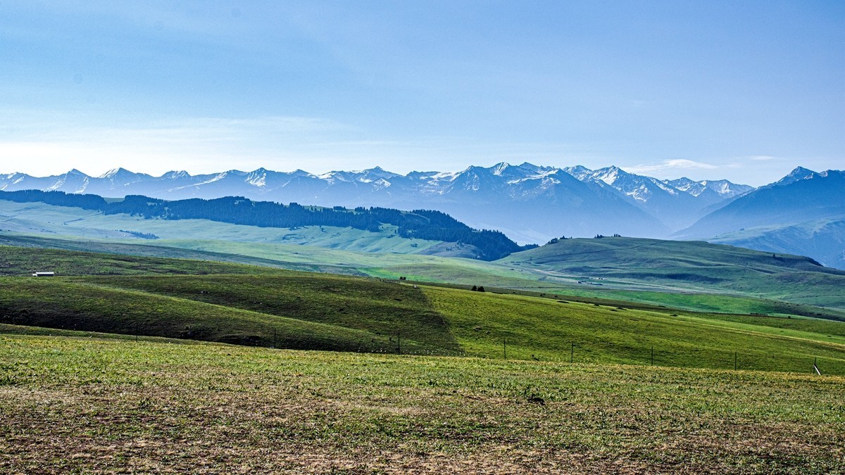 新疆行游--喀拉峻草原【2】    贺山水勇哥荣任合肥星空(中国)版主
