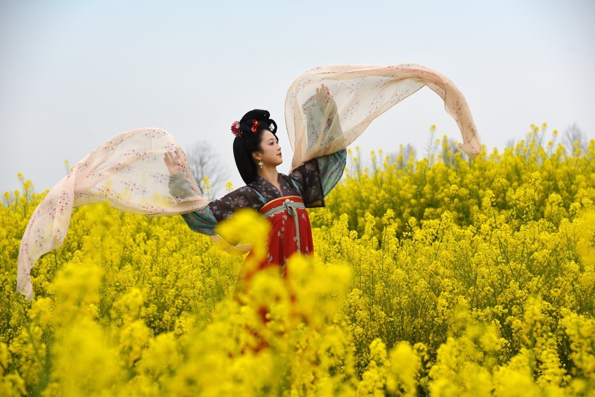 油菜花海——双流广都博物馆瞿上田园拍摄