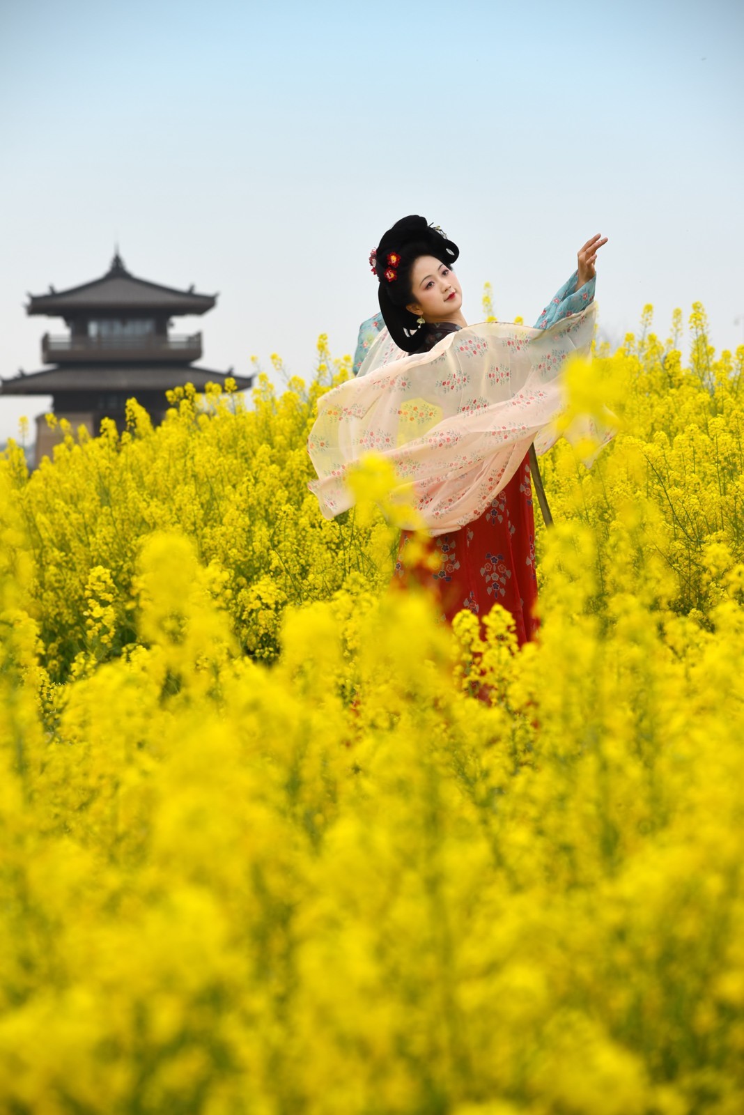 油菜花海——双流广都博物馆瞿上田园拍摄