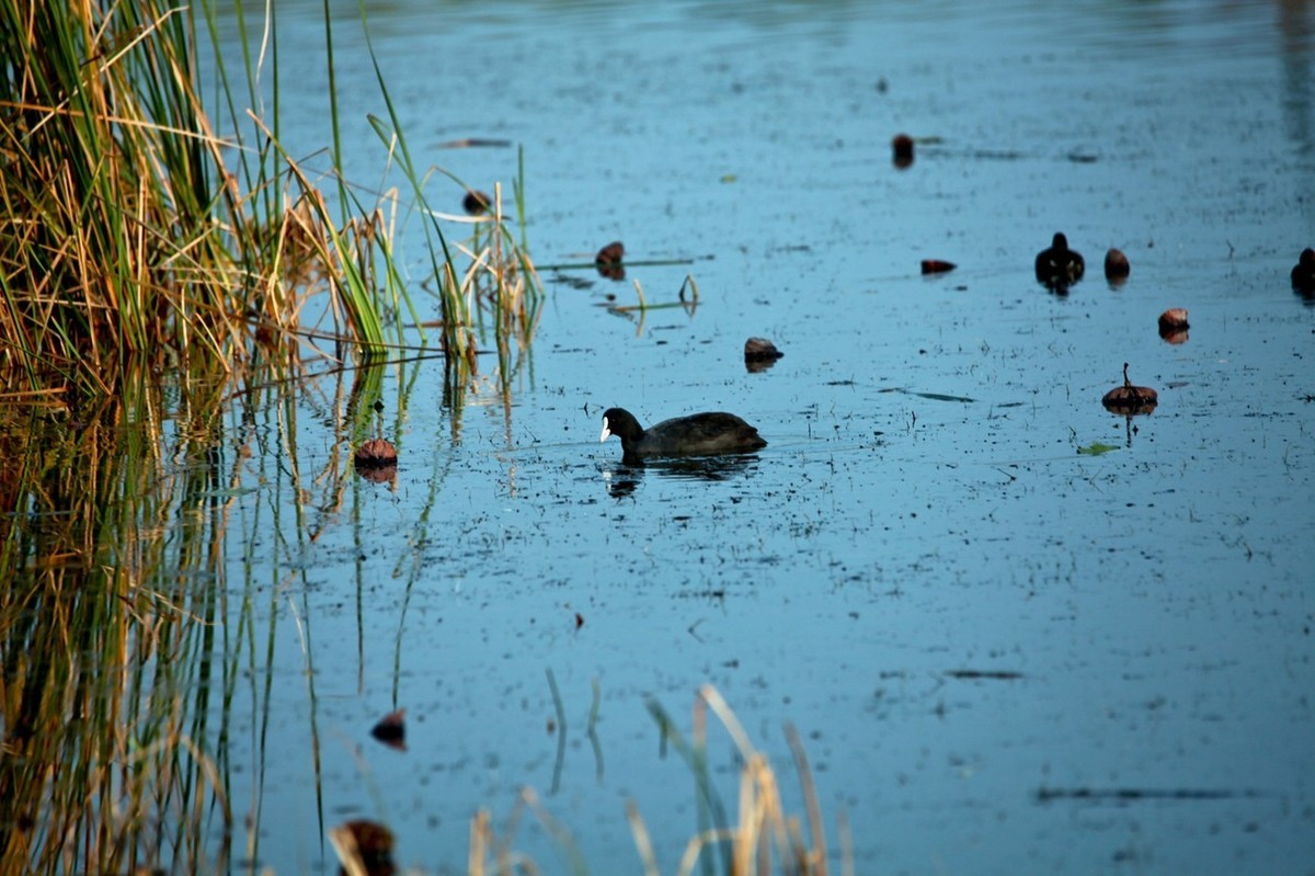 随拍——华山湖风光