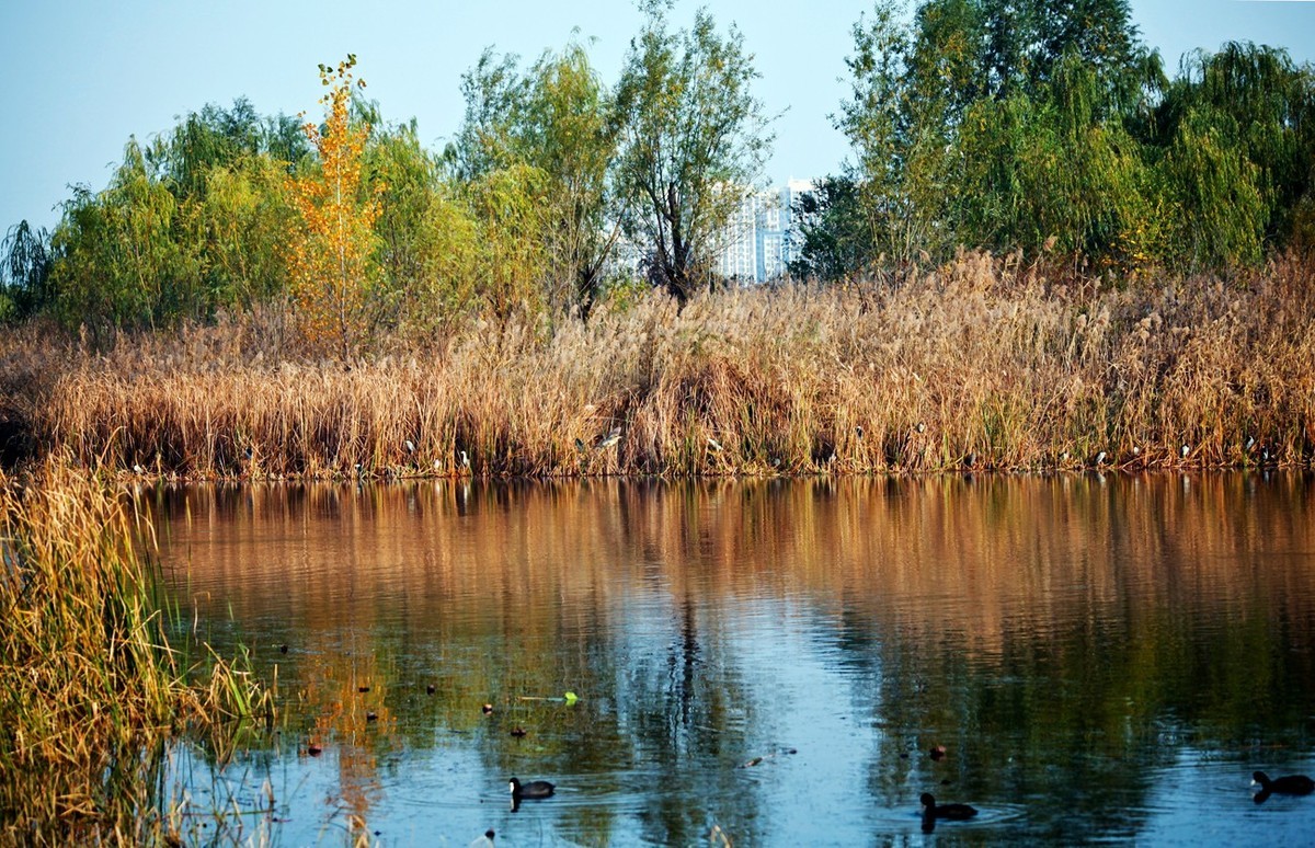 随拍——华山湖风光