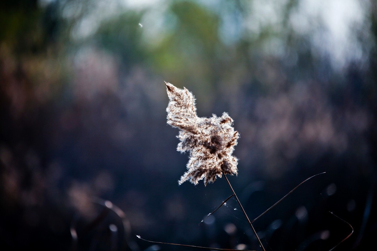 随拍——华山湖风光