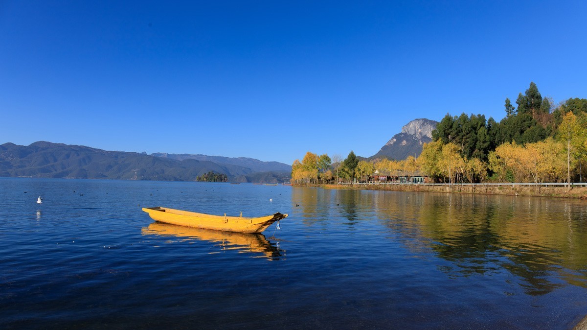 #遇见最美秋叶#疫情下的秋色依然很美