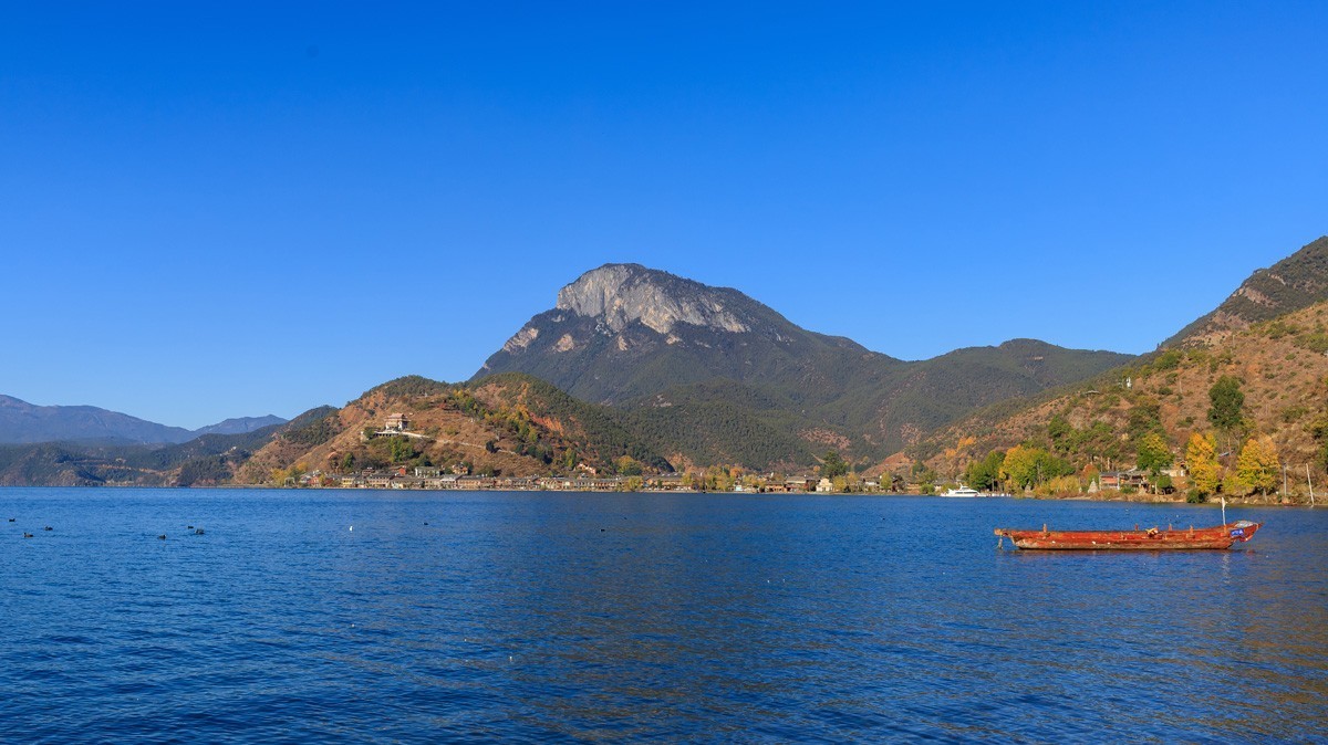 #遇见最美秋叶#疫情下的秋色依然很美