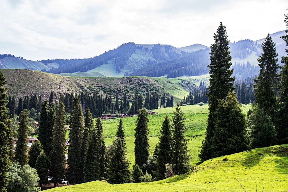 新疆行游--去琼库什台途中【6】