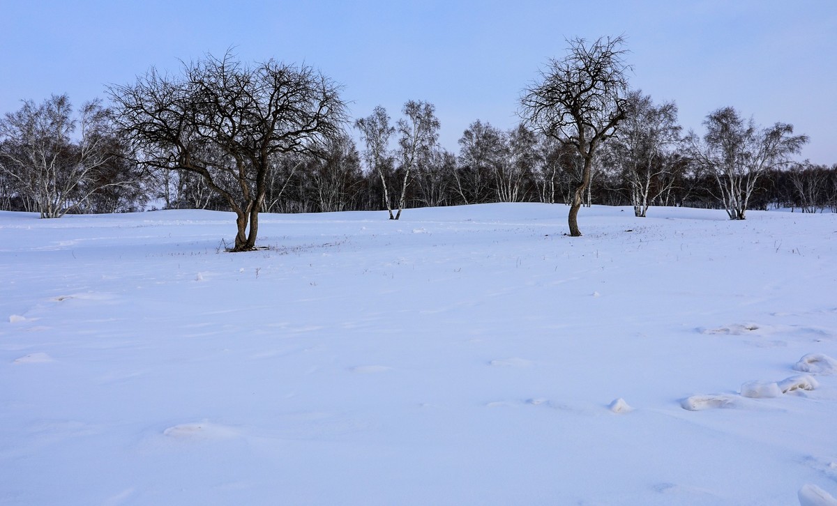我只是把出去看到的随手记录下来（七十一）