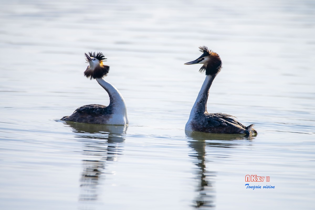 玉龙湖之悦（1）