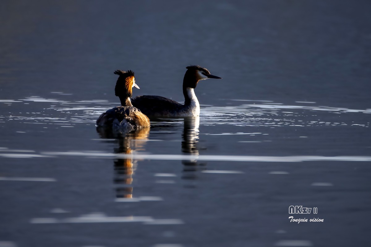 玉龙湖之悦（1）