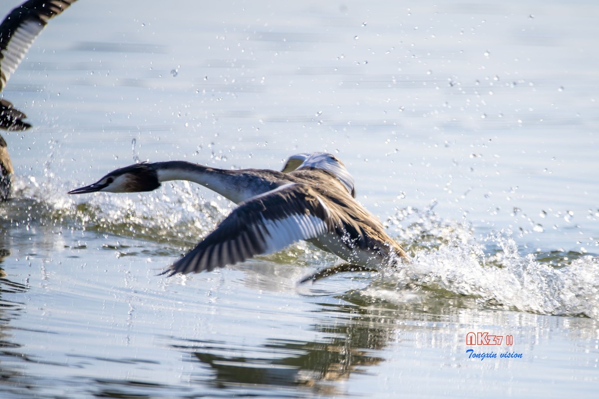 玉龙湖之悦（1）