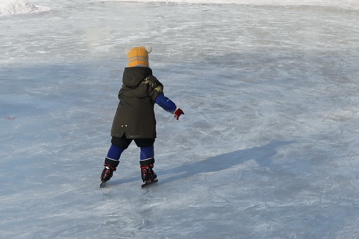 又是冰雪季      16