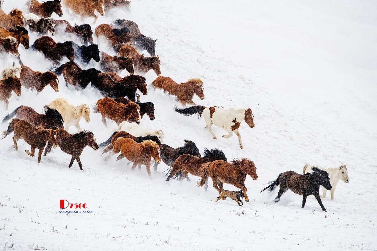 策马奔腾（48）