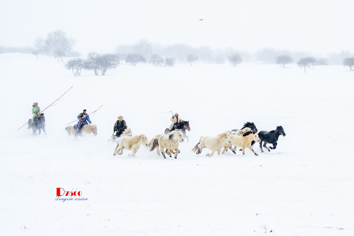 策马奔腾（48）