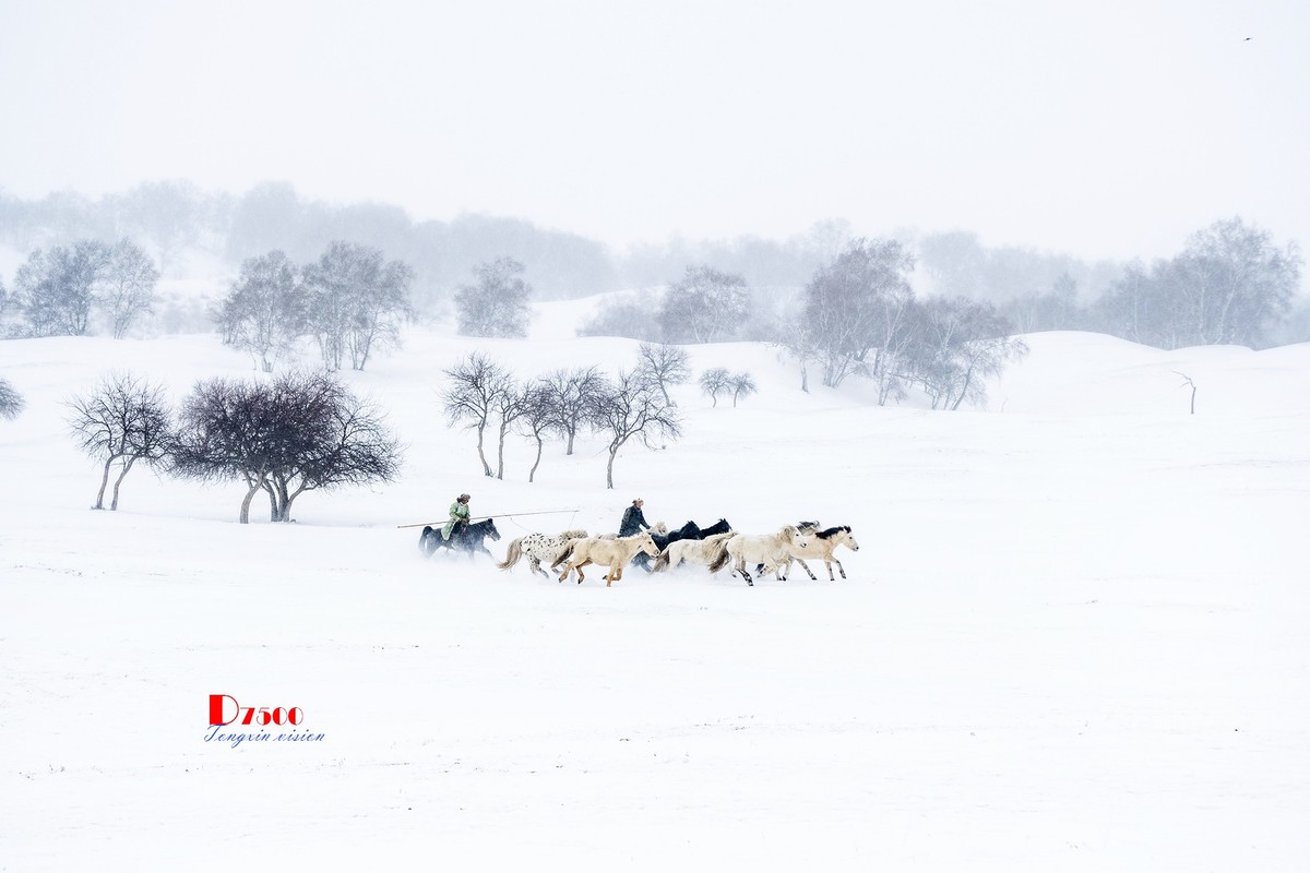 策马奔腾（48）