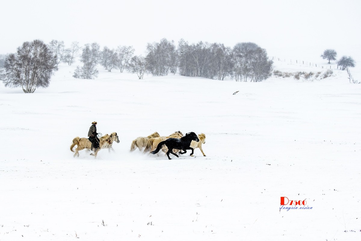 策马奔腾（48）