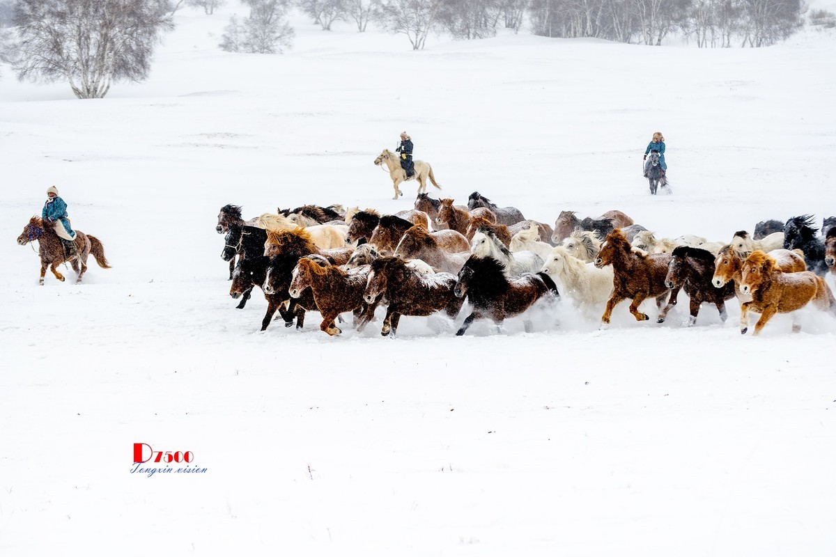 策马奔腾（48）