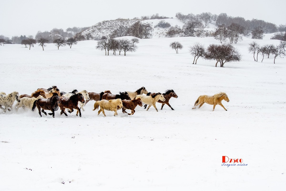 策马奔腾（48）