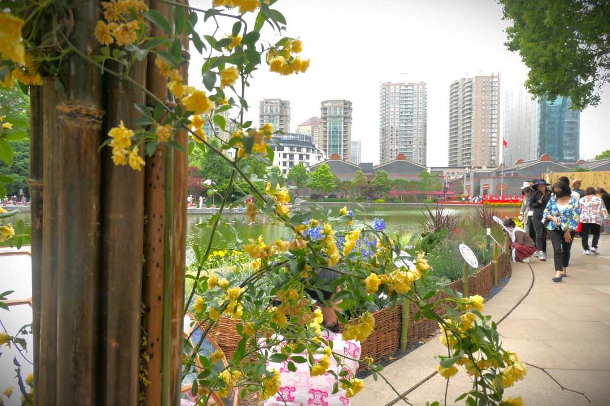 【太平湖畔（2）】——摄于上海新天地