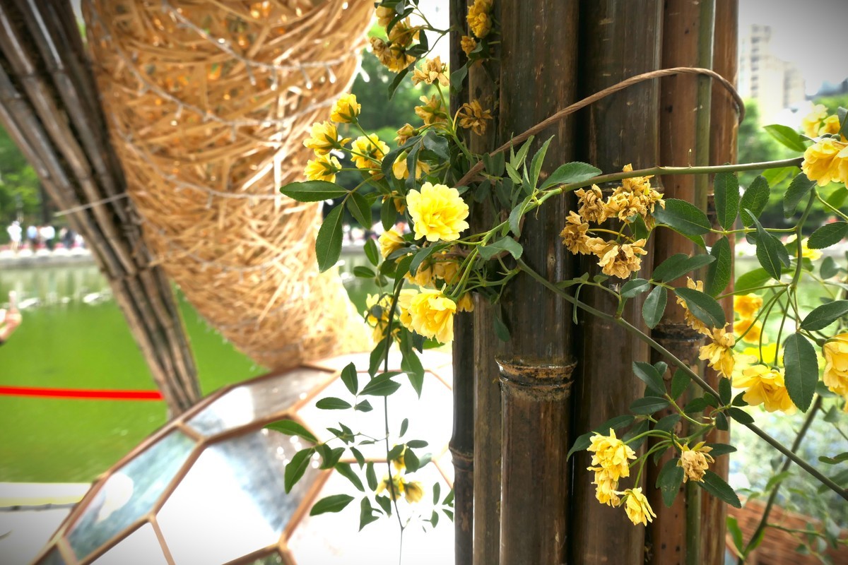 【太平湖畔（2）】——摄于上海新天地