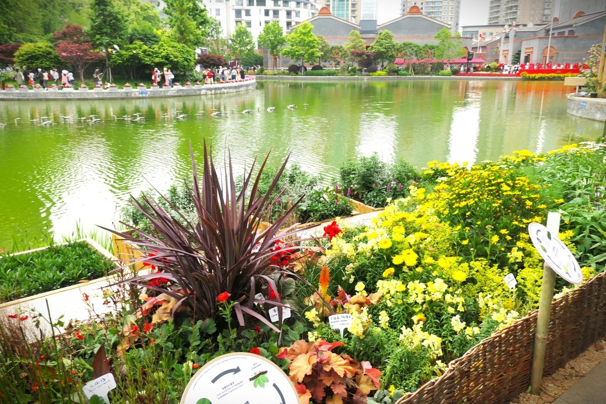 【太平湖畔（2）】——摄于上海新天地