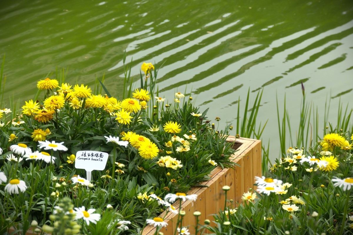 【太平湖畔（2）】——摄于上海新天地