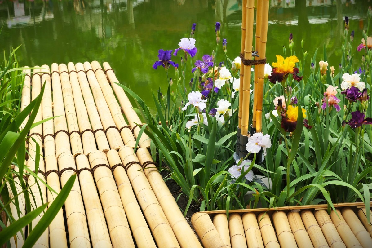 【太平湖畔（2）】——摄于上海新天地