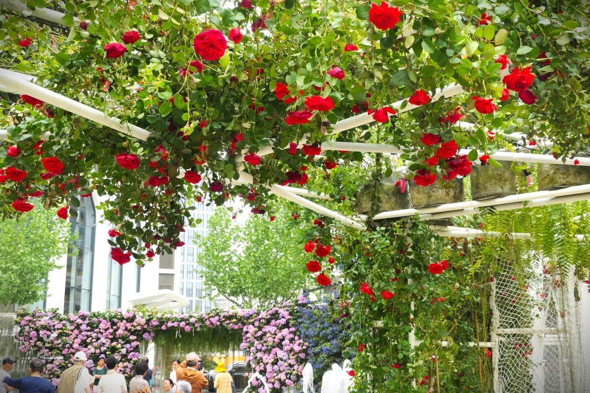 【太平湖畔（2）】——摄于上海新天地