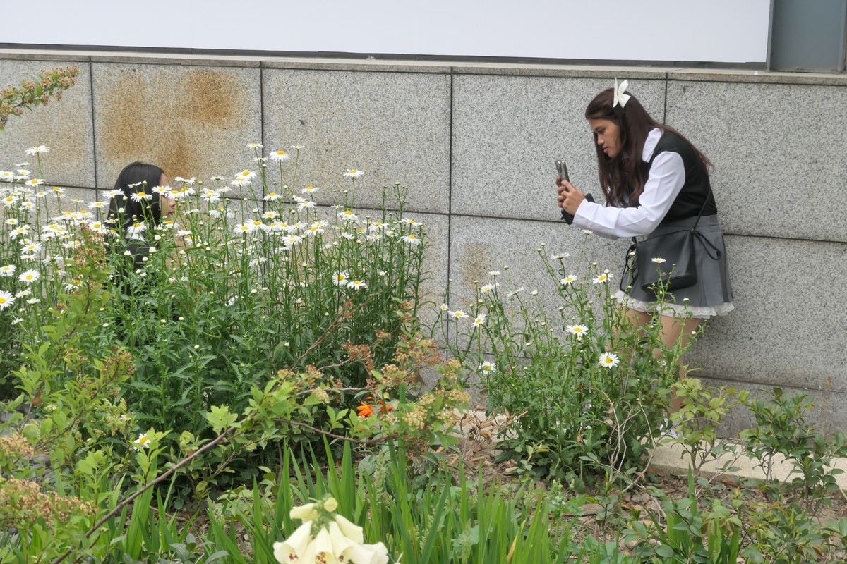 【太平湖畔（2）】——摄于上海新天地