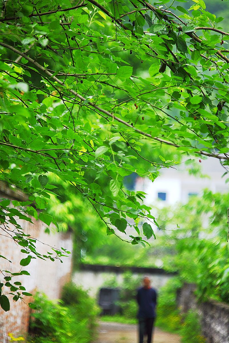 重庆大圆祥私人博物馆（二）