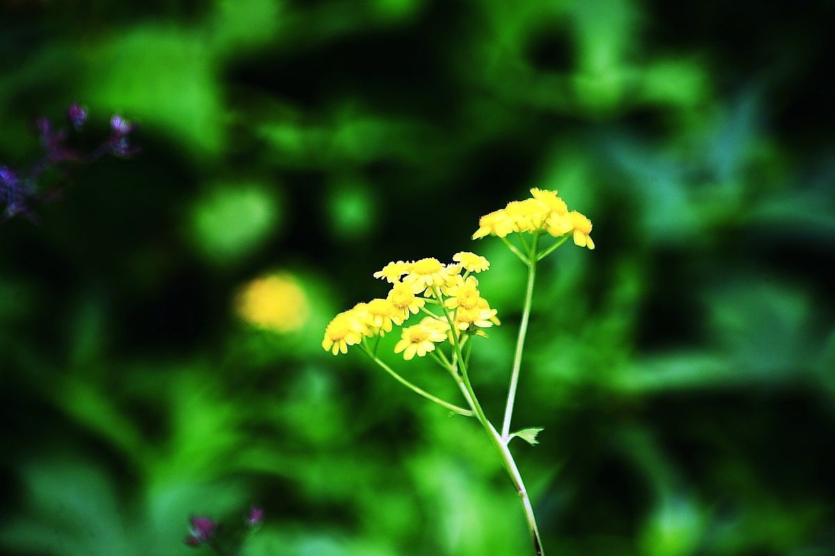 重庆大圆祥私人博物馆（二）