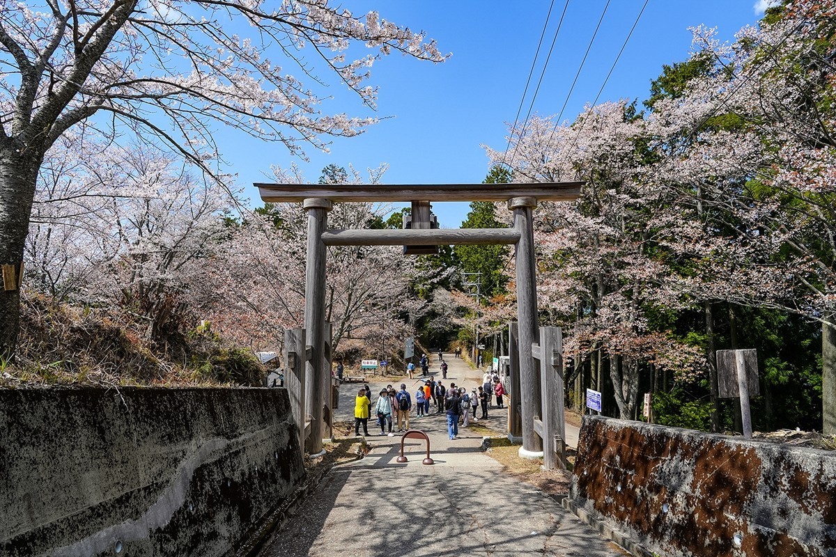 2025年第0343贴-奈良吉野山风光旅拍（0522）