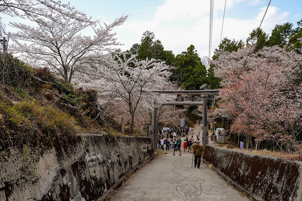 2025年第0343贴-奈良吉野山风光旅拍（0522）
