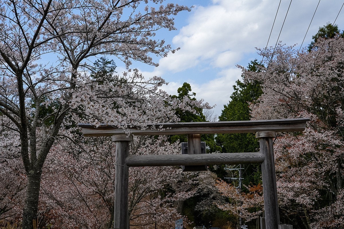 2025年第0343贴-奈良吉野山风光旅拍（0522）