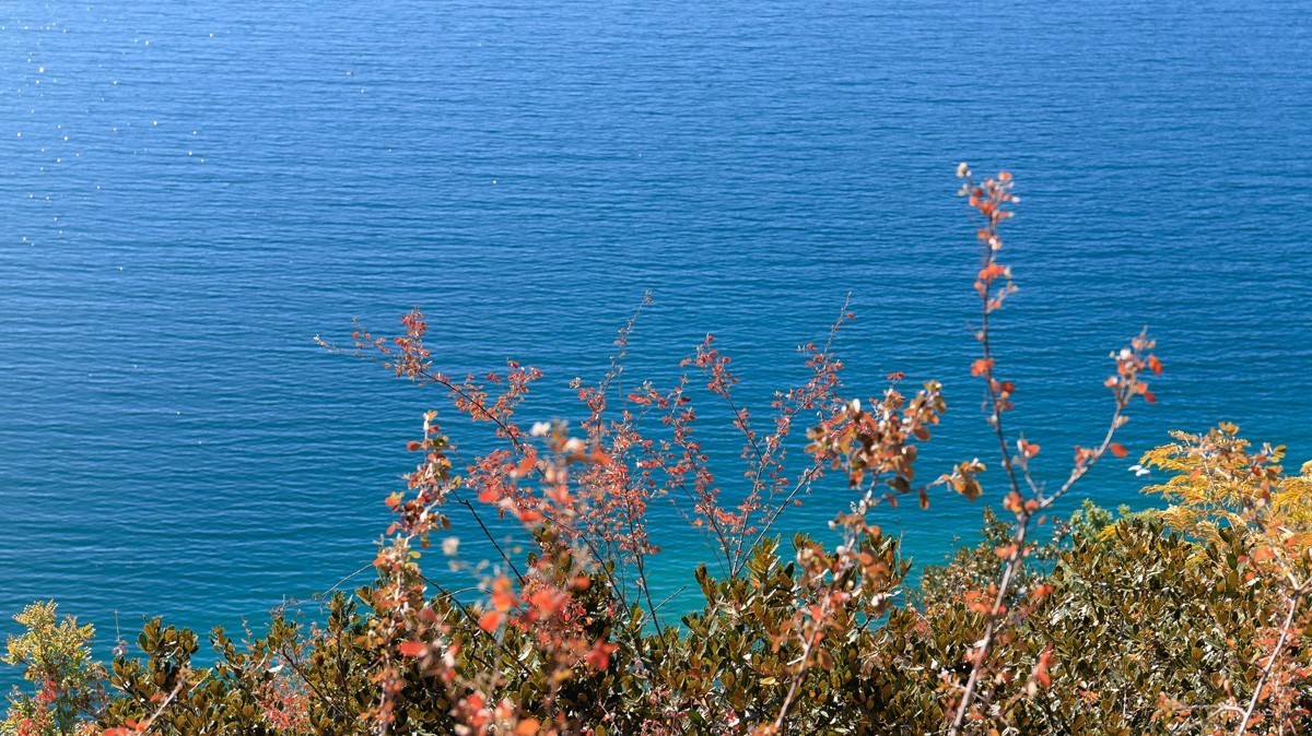 #遇见最美秋叶#疫情下的秋色依然很美