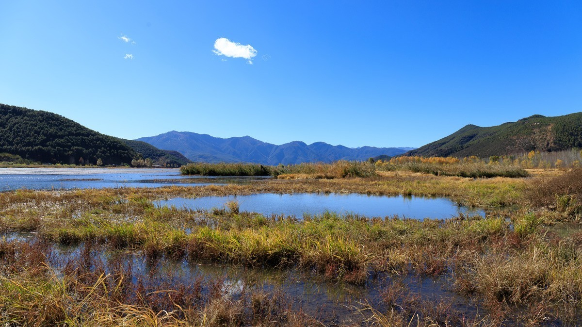 #遇见最美秋叶#疫情下的秋色依然很美