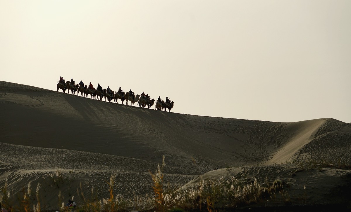 前几日在南北疆出差，上一组照片