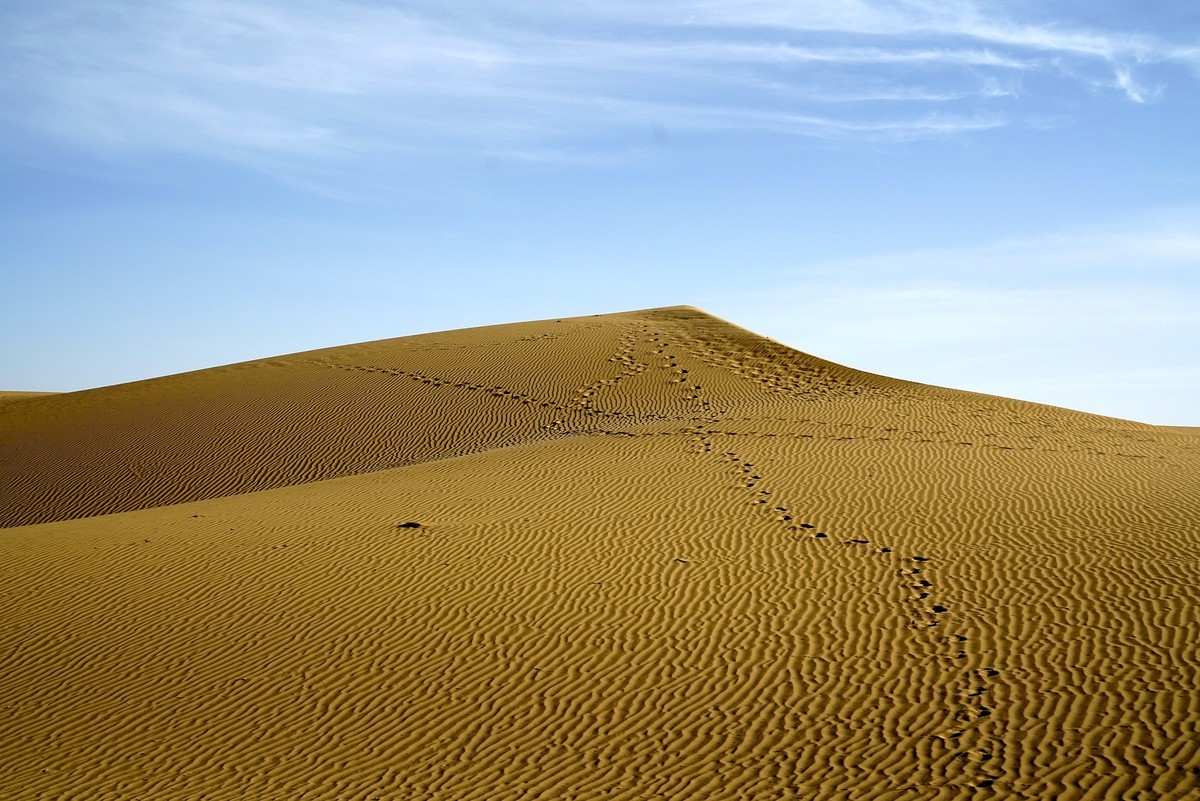 前几日在南北疆出差，上一组照片