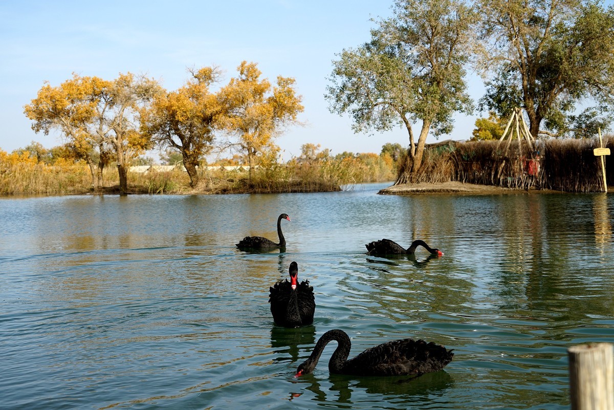 前几日在南北疆出差，上一组照片