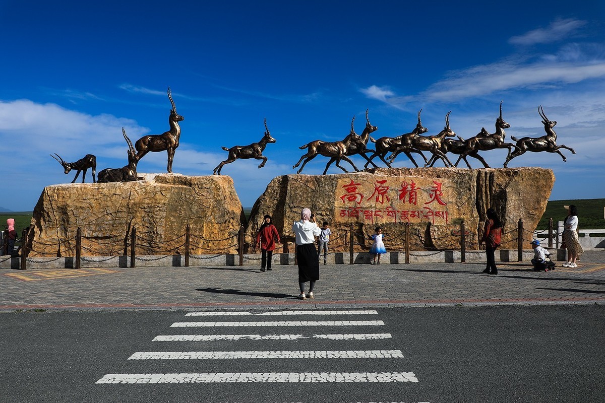 从甘肃冶力关到合作的路上随拍