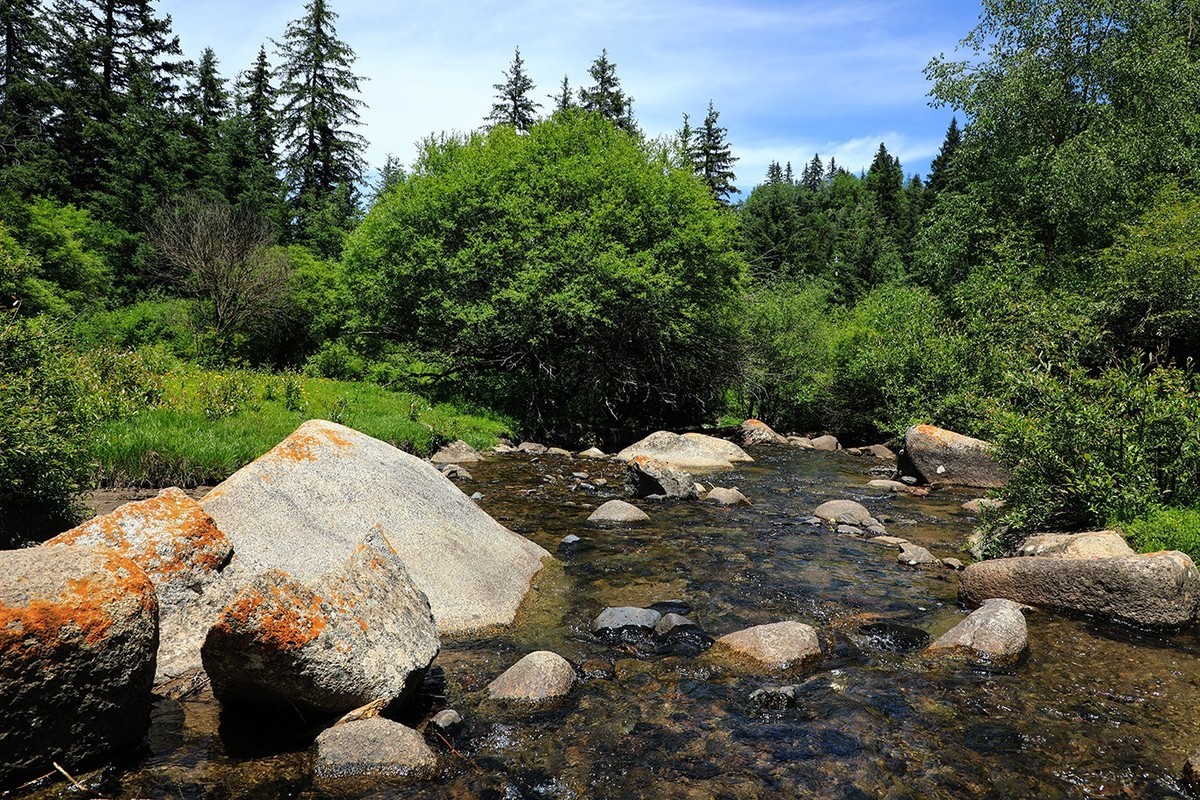 甘肃冶力关到合作的路上随拍