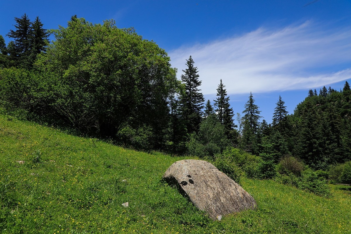 甘肃冶力关到合作的路上随拍