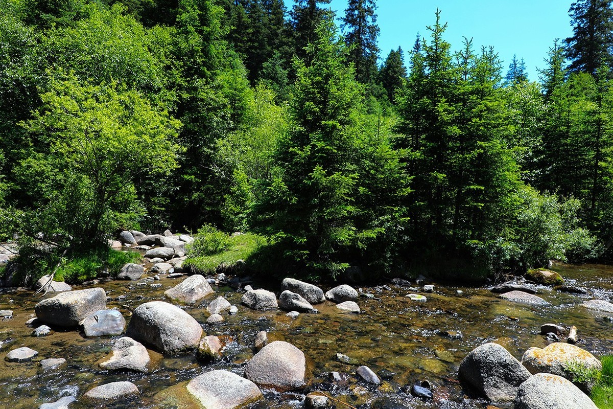 甘肃冶力关到合作的路上随拍