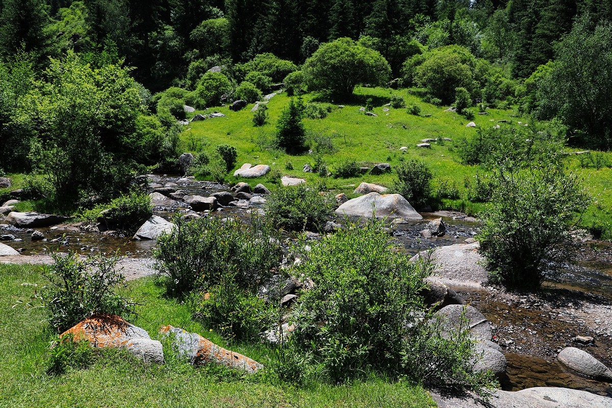 从甘肃冶力关到合作的路上随拍